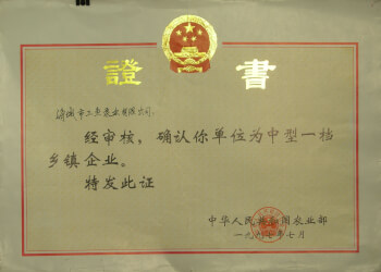 被農(nóng)業(yè)部評(píng)為中型一檔鄉(xiāng)鎮(zhèn)企業(yè)