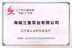 三魚(yú)2020年被遼寧省工信廳認(rèn)定為省級(jí)專(zhuān)精特新“小巨人”企業(yè)照片